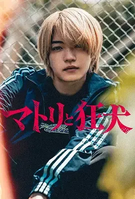 《缉毒警与疯犬》：日语日本剧全9集